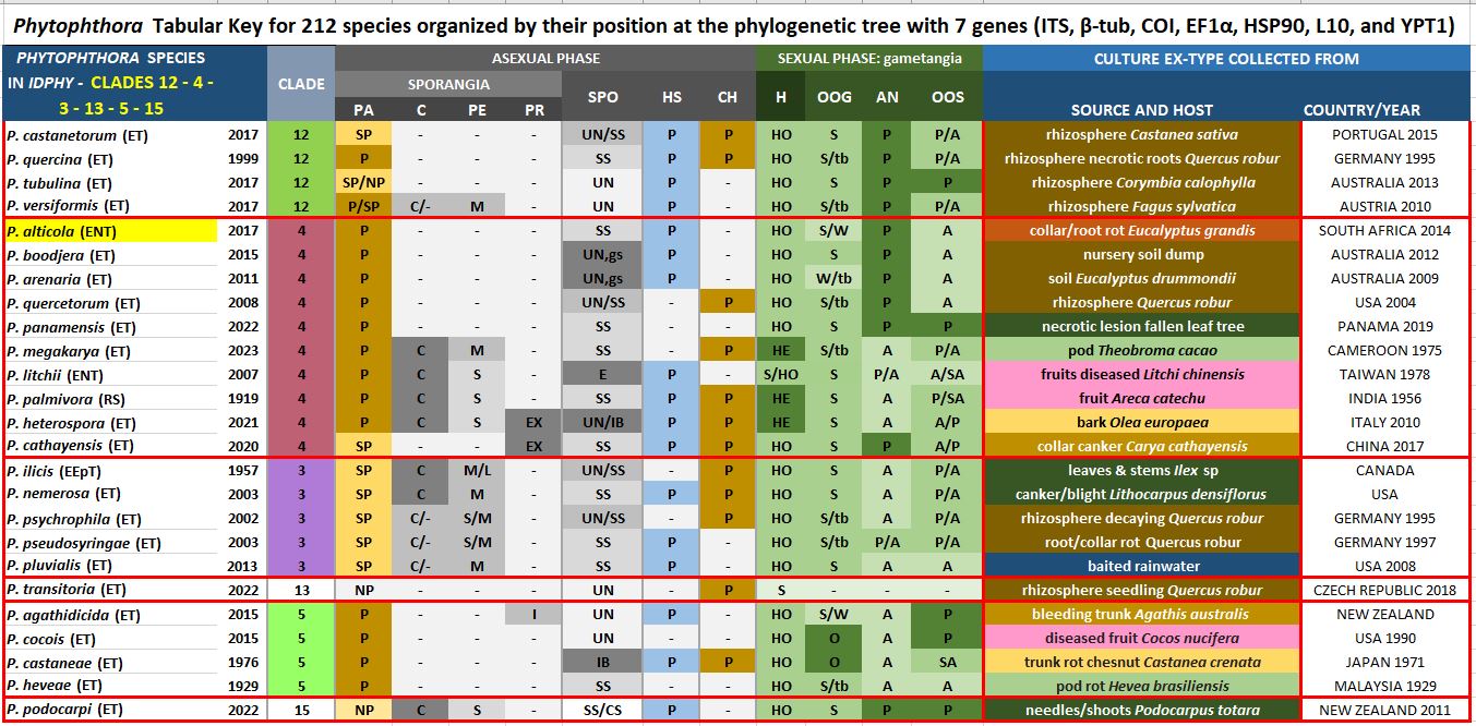    Phytophthora  spp. in Clade 4:  Morphological Tabular key (PDF) and Tabular key legends (PDF) in IDphy2 KEY SECTION. Notice the data of   P. alticola  Ex-type CBS 141718 . Gloria Abad, USDA Samp;T.
